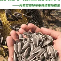 原味生瓜子大颗粒新鲜零食内蒙古葵花籽