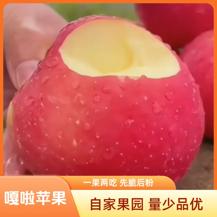 冉样甘肃庆阳早熟嘎啦苹果现摘现发一果两吃脆甜粉面老小皆宜