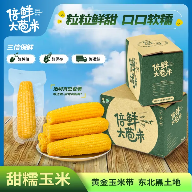 【品质透明真空装】非转25年东北黄甜粘糯一箱10根 两根试吃整箱7斤