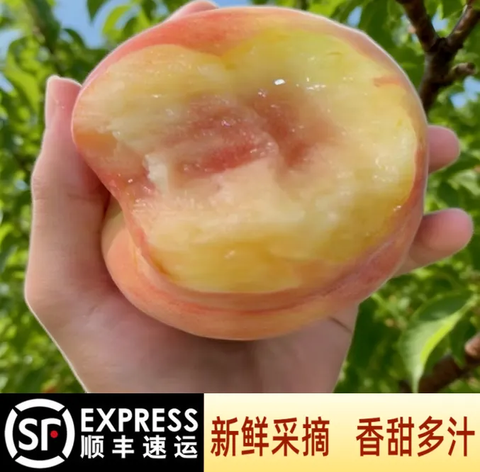 龙泉驿水蜜桃明年见（好评展示）