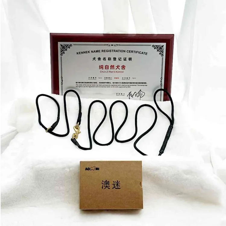 纯自然犬舍手工加密训练比赛5mm圆绳P绳一体式前后端尼龙牵引绳