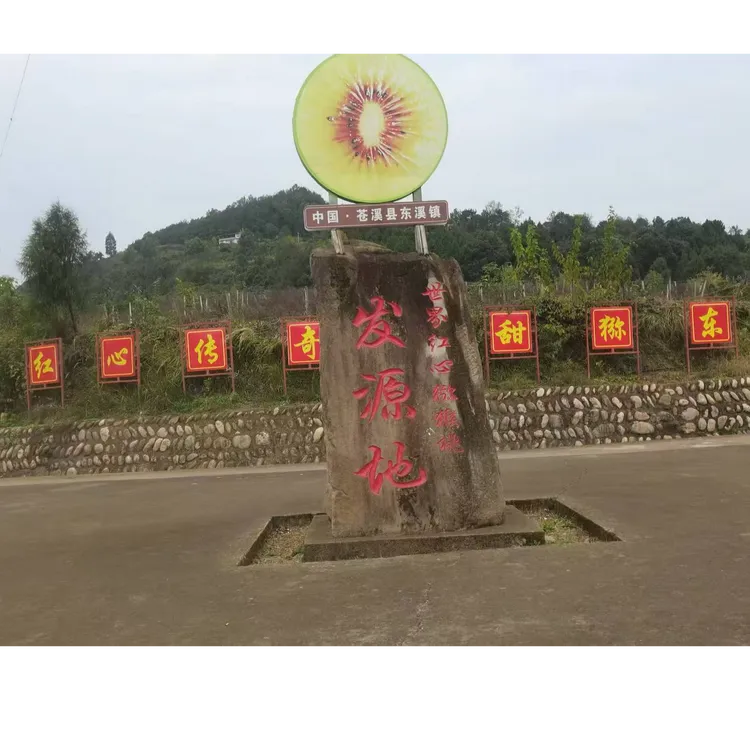 四川苍溪红心猕猴桃新鲜美味当季水果奇异果（偏远地区邮费另计）