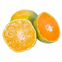 东江湖蜜桔 750g