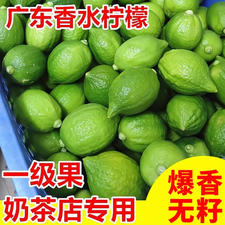 广东香水柠檬青柠檬黄柠檬无籽爆香水果新鲜柠檬维C果香维c水果