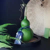 【云舍花卉】【翡翠葫芦】 全场任意满两单及以上鲜花包邮发货