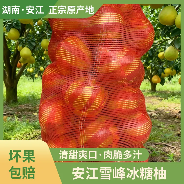 湖南雪峰冰糖柚安江柚50斤±0.1小药柚小苦柚肉脆多汁秋冬安江柚子