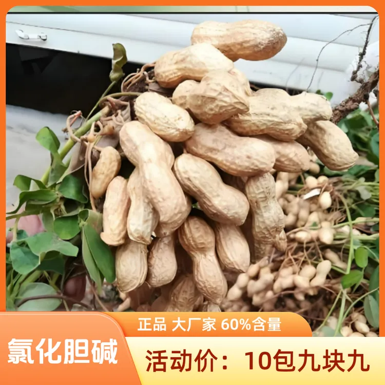 【十包九块九】氯化 胆碱膨大根茎叶面喷施