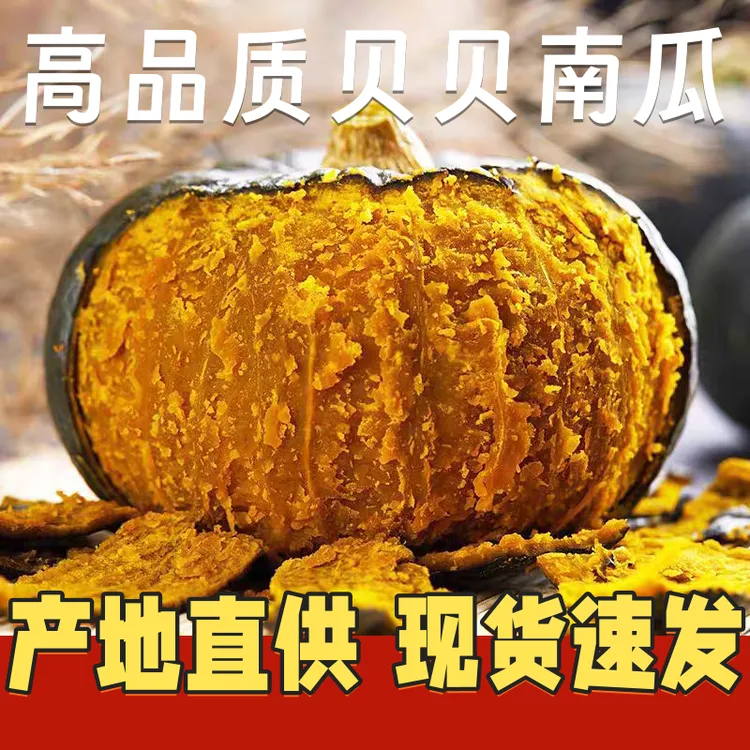 直供口感纤维产地高品质孕妈山东板栗栗南瓜，粉糯香甜5斤4-7个