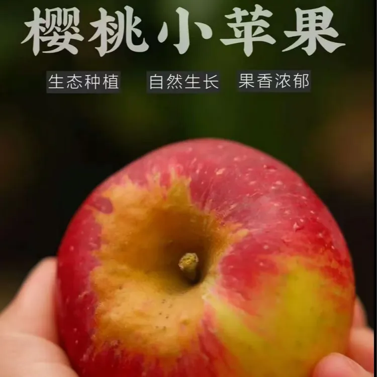 新鲜红露小苹果果园现摘先发头茬果商品图