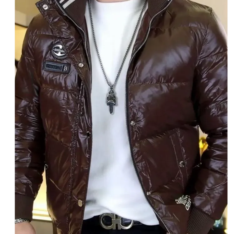 斯里卡琪冬季新款刺绣立领羽绒服男时尚修身百搭鸭绒保暖外套