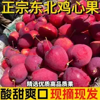 【H试吃1斤】东北特产鸡心果锦绣海棠脆甜多汁5斤 新鲜采摘现摘先发
