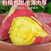 沙地现挖吉林蛟河白石山老品种白心地瓜软糯香甜