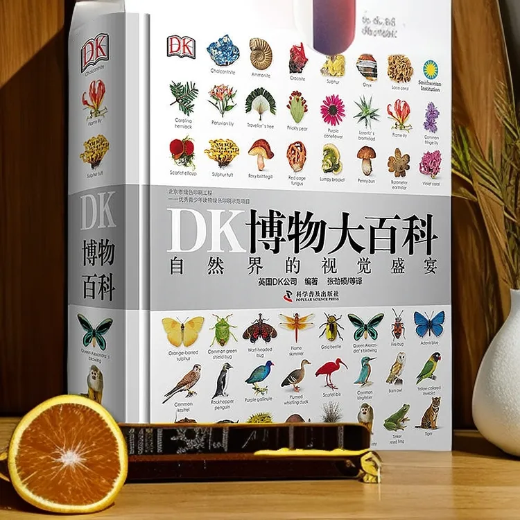 DK博物大百科6-16岁自然科普地球自然历史无与伦比的视觉课外书