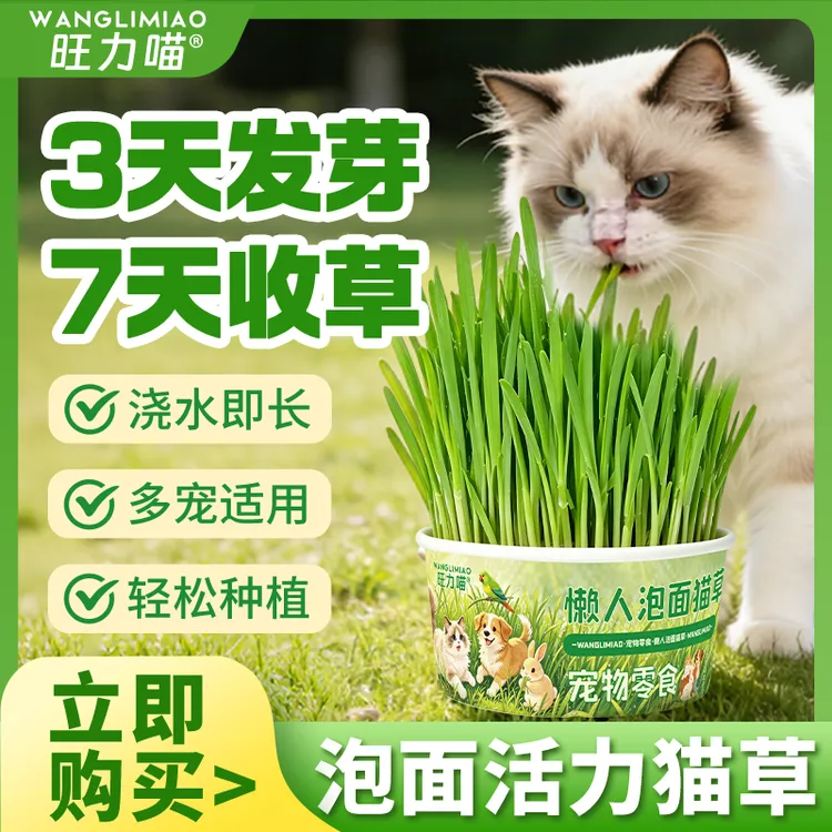 懒人泡面猫草狗狗狗草盆栽鸟草可滤水猫咪零食化毛排毛球懒人猫草