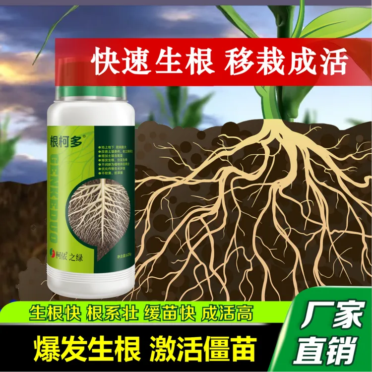 根柯多生根壮苗促生根提质增产快速爆根茎秆粗壮死苗僵苗水溶肥