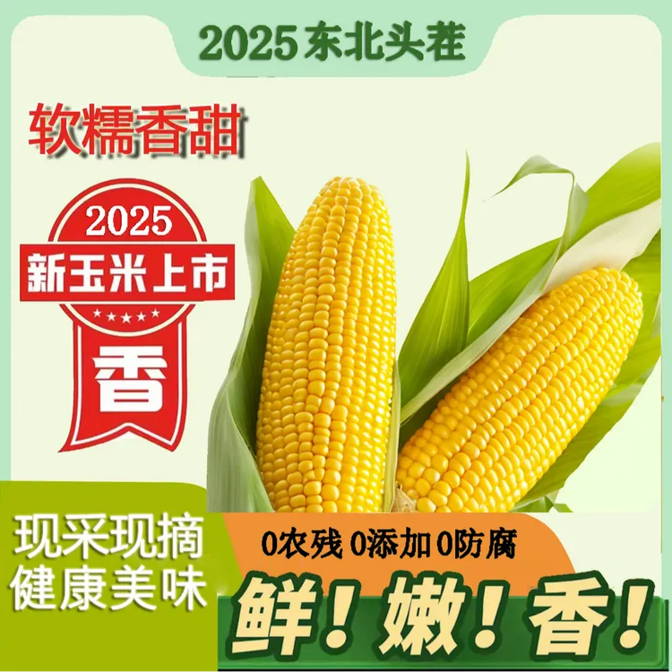 【支持5棒试吃】东北头茬真空黄糯玉米280-350克整箱6斤10棒