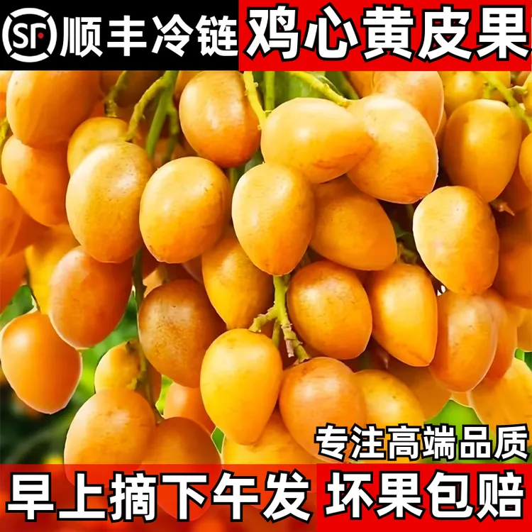 顺丰包邮广东老树鸡心黄皮果当季新鲜现摘酸甜孕妇黄皮水果整箱