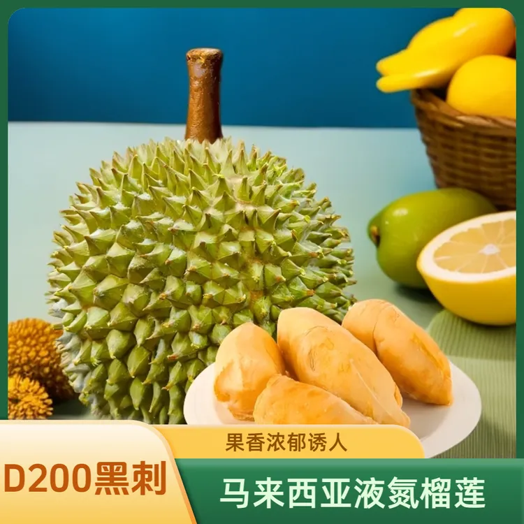 马来西亚液氮树熟榴莲