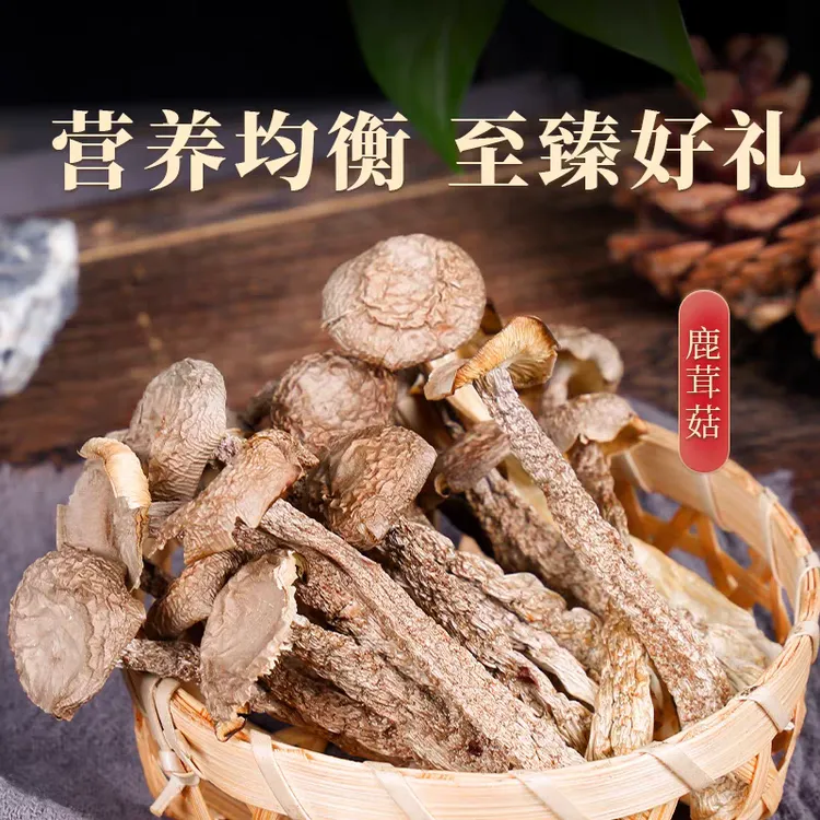 鹿茸菇干货无碎无硫熏脆脆菇蘑云南野生菌特产顺丰包邮