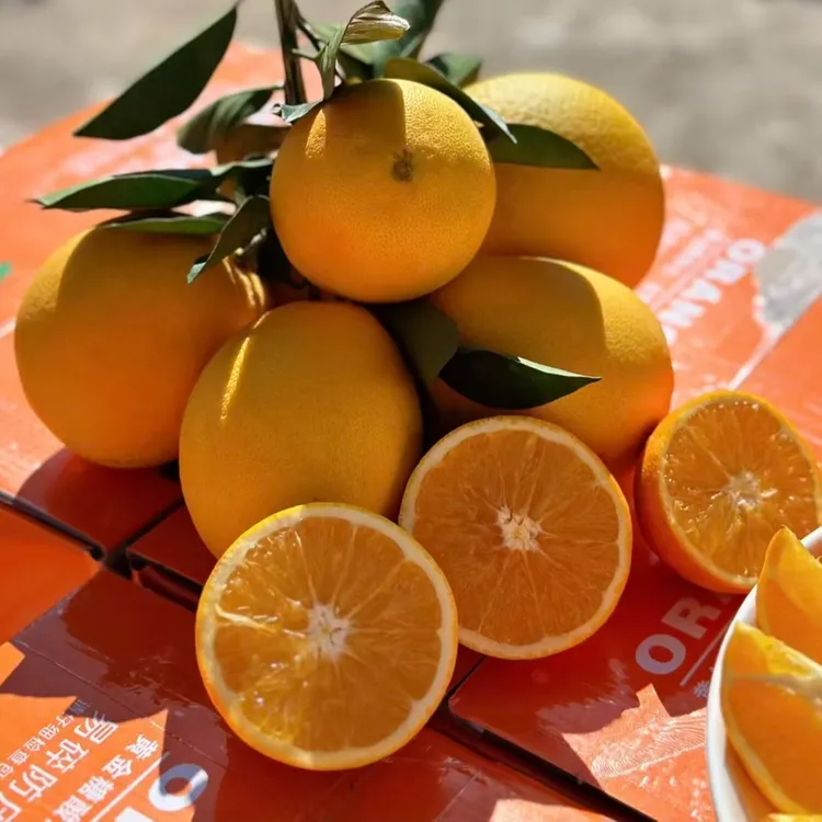 正宗江西赣南脐橙薄皮多汁新鲜应季江西赣州脐橙现摘产地直发