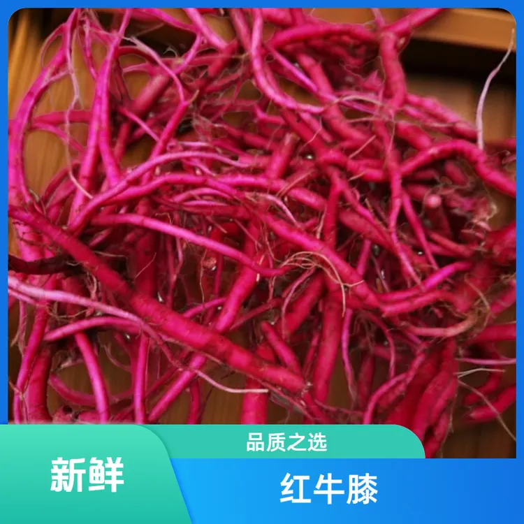 贵州新鲜红牛膝全根  红牛克膝中药材牛克膝 土牛膝散装怀牛膝