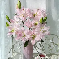 【云舍花卉】【粉黛】重瓣百合树花任意两单及以上鲜花包邮