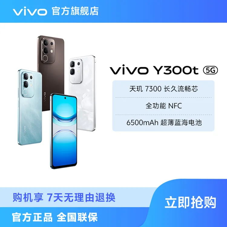 【达人加补】vivo Y300t 智能手机 6500mAh超薄蓝海电池