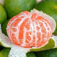 【新鲜采摘】湖北无核蜜桔青皮蜜桔新鲜水果清甜多汁薄皮 s