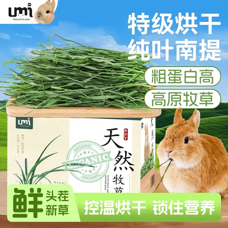 烘干提摩西草兔草北提兔子草豚鼠兔子龙猫荷兰猪兔子专用提草岷县