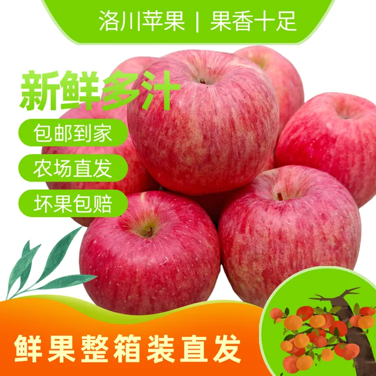 果臣仕洛川精品红富士苹果净重5斤-8.5斤脆甜多汁