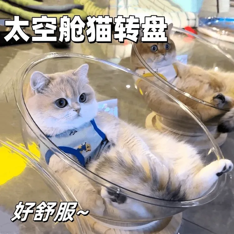 猫咪喜欢太空舱猫窝一天四季通用夏季猫玩具猫床半封闭可爱宠物窝