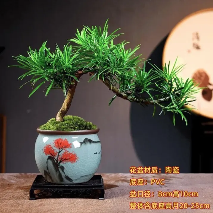 罗汉松风水招财小叶雀舌悬崖飘枝盆景办公室内客厅绿植花卉造型树