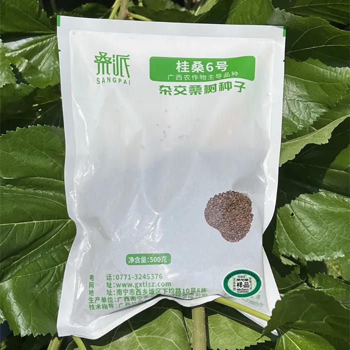 桂桑6号种子大叶高产养殖饲料杂交桑树免嫁接500g[仅限自繁自用]