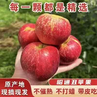 2025云南昭通丑苹果2001品种现摘现发脆甜多汁新鲜水果五斤包邮