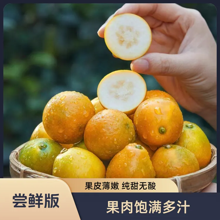 【尝鲜版】【中通包邮】广西融安三代脆蜜金柑新鲜现摘 当季纯甜鲜果 