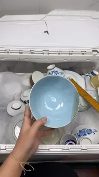 【闪购商品】5966回流瓷器默认微瑕，18.8包邮