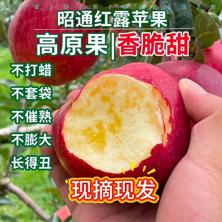 2025年云南昭通丑苹果新鲜采摘脆甜多汁应季水果