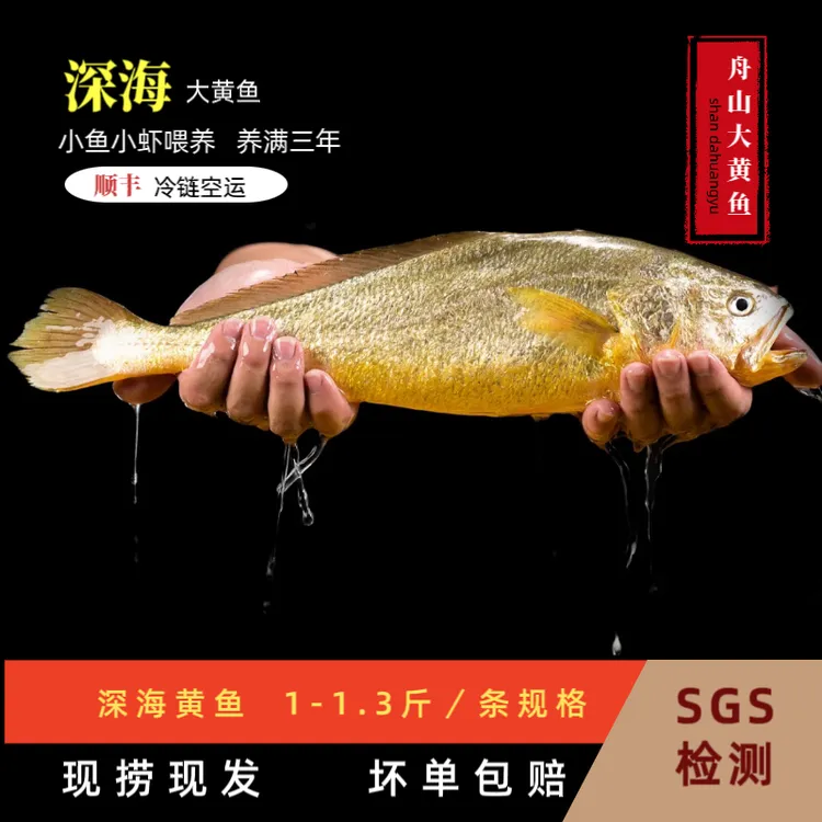 【直播推荐】一箱6条6斤，舟山深海大黄鱼冰鲜发货顺丰冷链