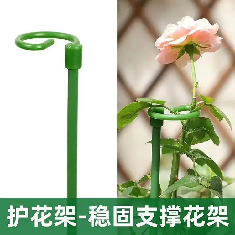 植物固定防倒伏花架子园艺支撑单杆花园月季绣球蝴蝶吊兰撑花支架商品图