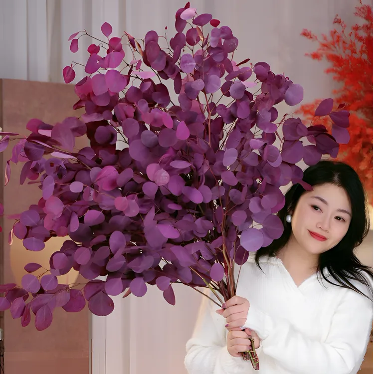 AAA级紫红色桌面苹果尤加利叶花材长期摆放高端家具软装鲜花