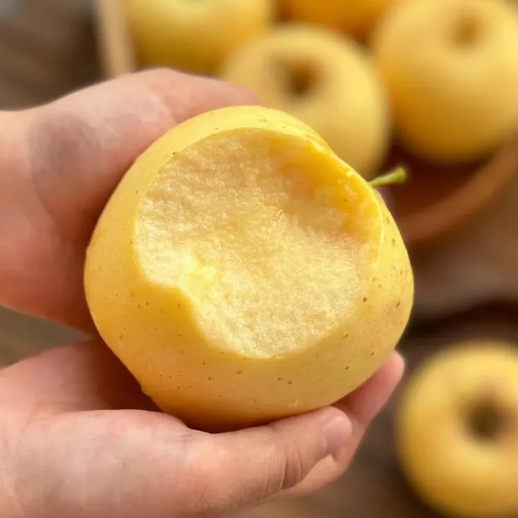 当季新鲜云南维纳斯金果黄色苹果原箱礼盒雀斑女神高山丑苹果脆甜