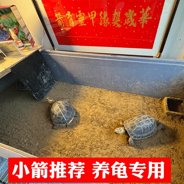 【小箭专供】黄缘龟土 安缘养殖土 安缘专用土 养龟土 半水龟专用土