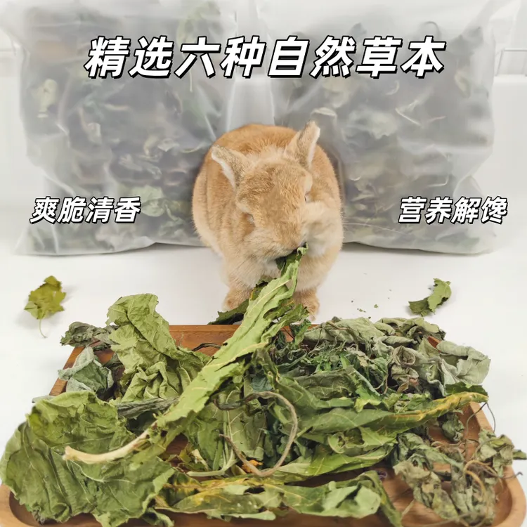 营养叶果蔬组合 蒲公英构叶车前草菊苣桑叶 干木瓜苹果胡萝卜片等