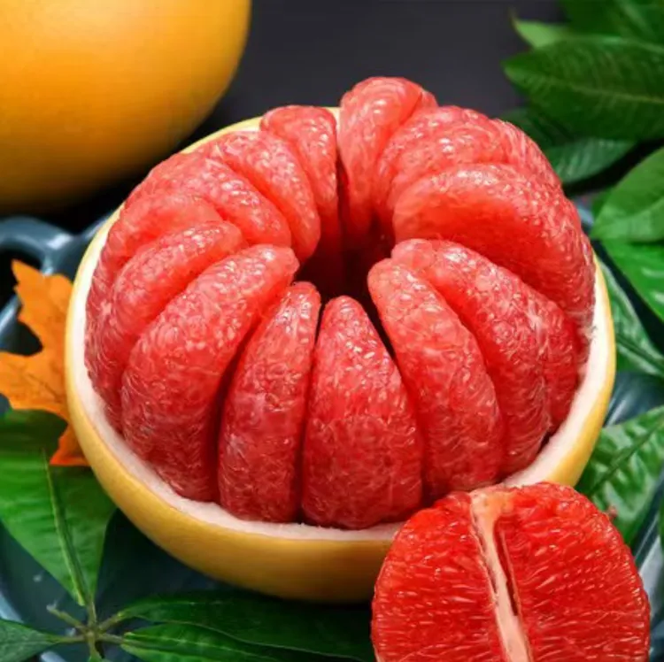 【老树果-当季红心柚】高山种植现摘水果柚子鲜嫩多汁香甜解渴