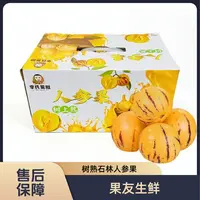 【树熟石林人参果】大个清甜 整箱带箱4斤左右 太原晋中吕梁忻州拍