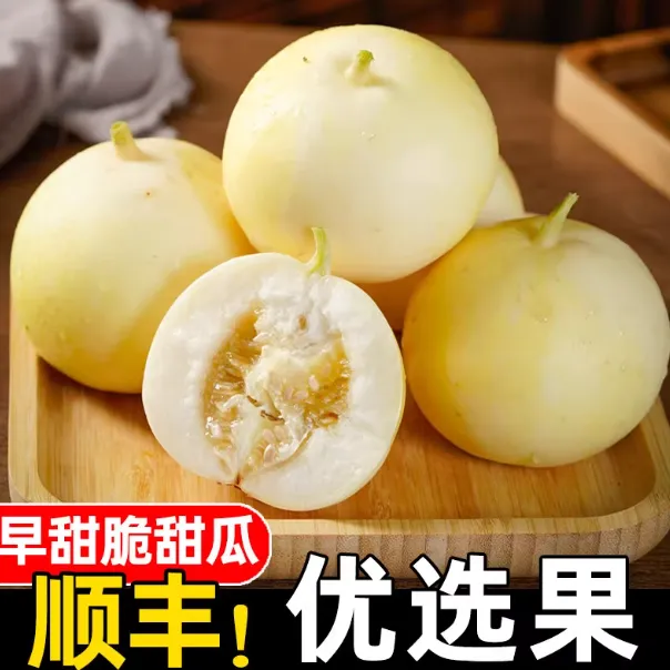 顺丰山东头茬早甜脆甜瓜星甜小蜜蜂蜜罐脆瓜新鲜脆瓜水果整箱包邮