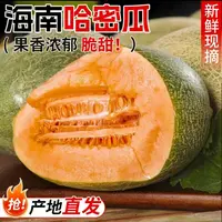 海南新鲜哈密瓜脆甜多汁水果水果当季水果产地直发当季新鲜水果