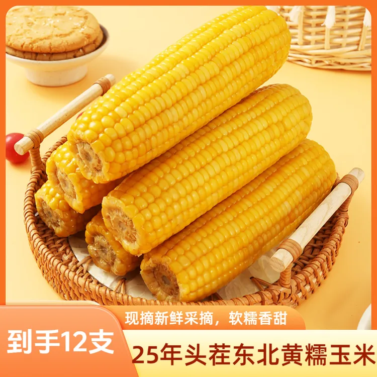 25年【试吃5支】头茬东北黄糯玉米现摘香甜软糯12支装新鲜采摘