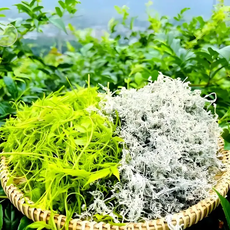 【吕支书专属】2025年新茶沙道湾恩施来凤藤茶富含黄酮 支持试喝20g