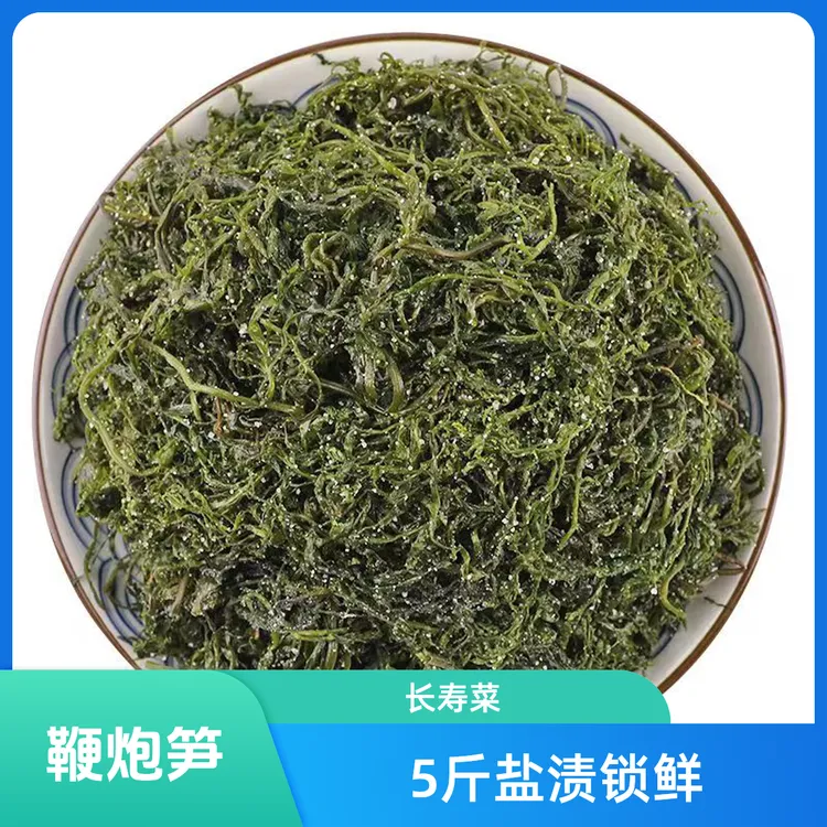 大连5斤盐渍马尾藻鞭炮笋长寿菜羊栖菜火锅麻辣烫